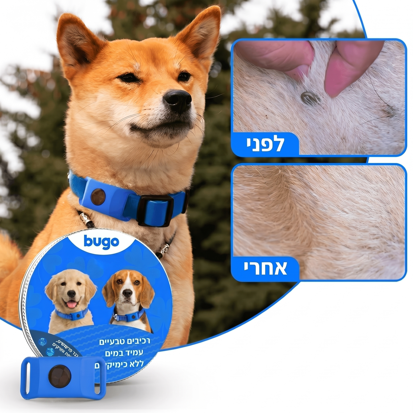 Bugo™ Pet - תליון לכלב