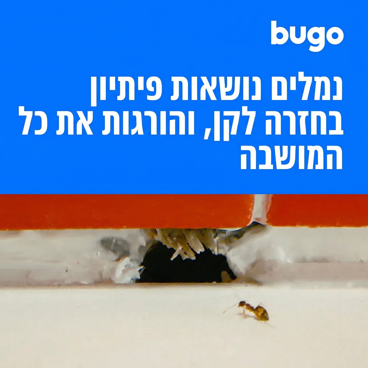 Bugo™ Ants - מלכודת ג׳ל לנמלים