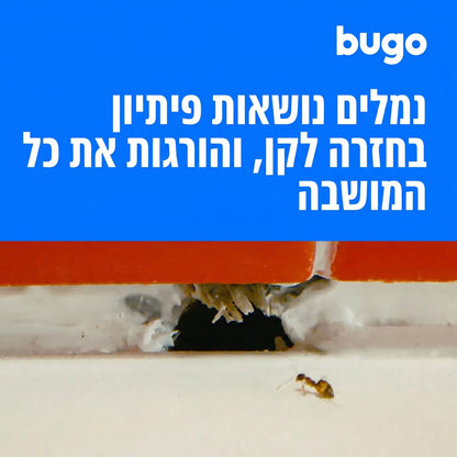 Bugo™ Ants - מלכודת ג׳ל לנמלים