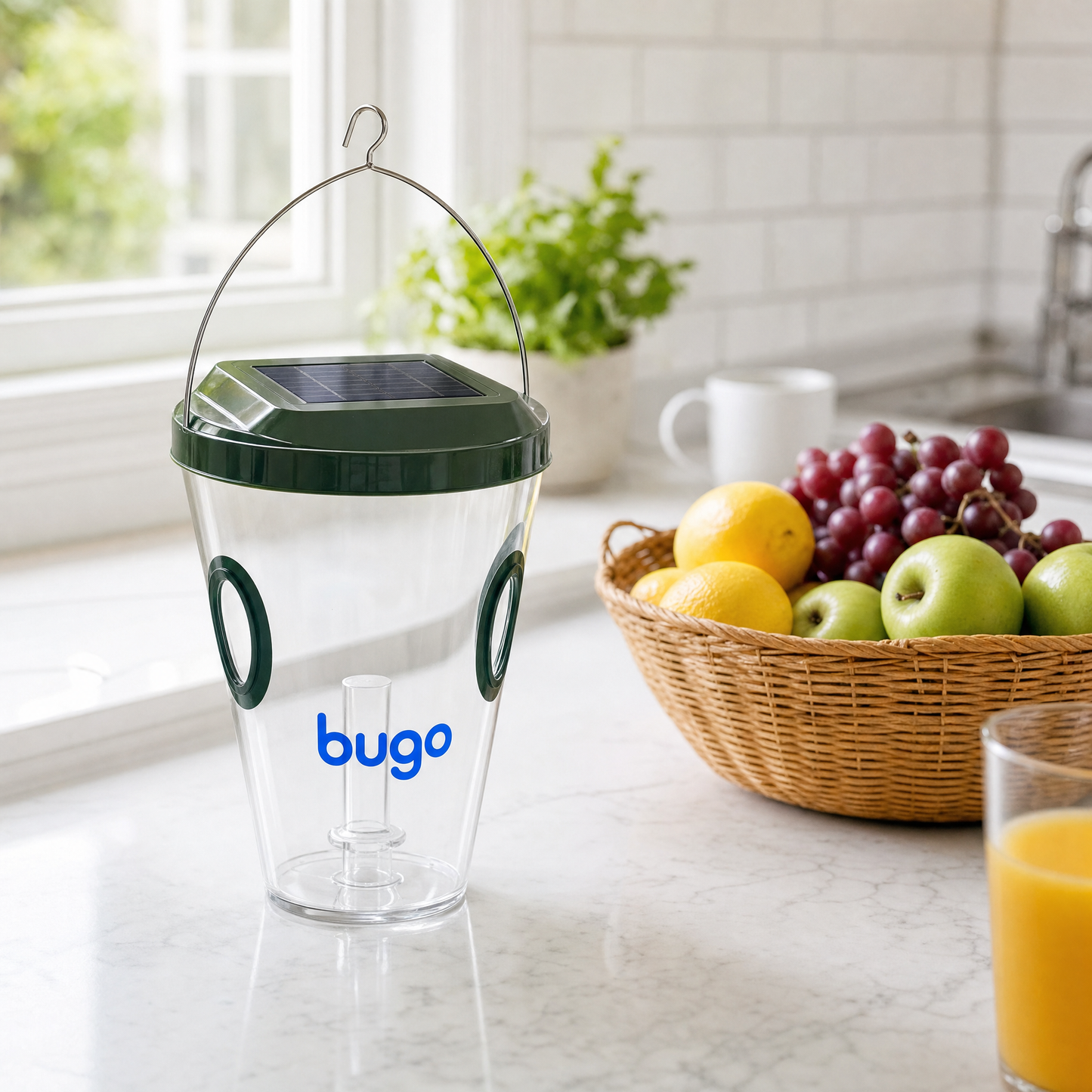 Bugo Trap על השיש במטבח ליד סלסלת פירות